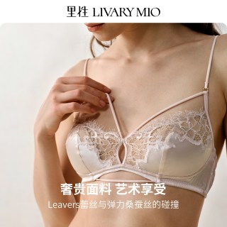 里性 法式内衣细肩带蕾丝真丝性感文胸 L09S10S1