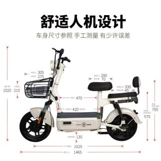 驰小虎 电动自行车 & 吉祥虎新国标 &电动车电动自行车48V20Ah电池长续航