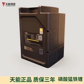天能 电动车磷酸猛铁锂锂电池48V24ah  大容量智能两轮车家用 48V24Ah 不含充电器