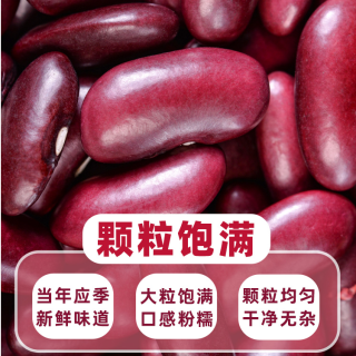 七彩家香宝 高海拔新豆子大红豆红腰豆红芸豆浆云南新鲜四季豆米酸菜煲汤饭豆 100g*3+30g*2