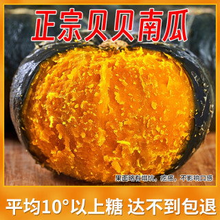 京鲜生 山东贝贝南瓜 2.5kg带箱装 单果300-750g