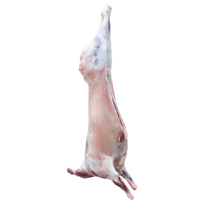 京觅 东乡贡羊 原切全羊 清真 生鲜羊肉