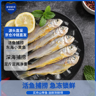 鲜到鲜得 海捕小黄鱼 26-28条 800g