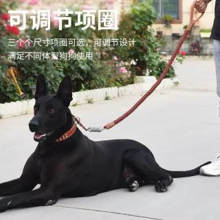 科万鸿 中型大型犬狗狗牵引绳牛皮狗链子金毛德牧防爆冲遛狗绳子项圈 2.5黑色牛皮一套