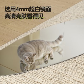 SAMEDREAM 中古全身家用落地镜