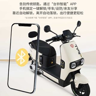 台铃 标兵3 石墨烯电池 电动摩托车