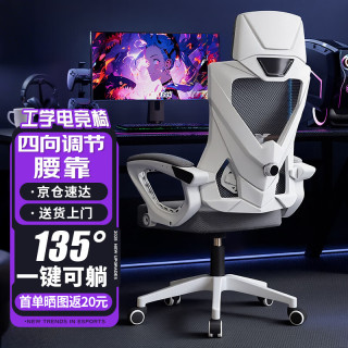 全品屋 电竞人体工学电脑椅 白框灰网