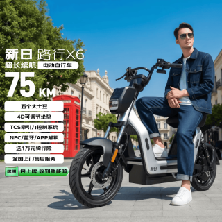 新日 电动自行车 2026新新国标智驾60通勤代步助力电瓶车路行X6 丝绸银