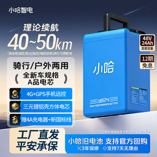 小哈 新国标电动车锂电池48V24AH全新A品电芯电瓶车电池户外电源两用 48V24Ah 含3A品头充电器+新国标线