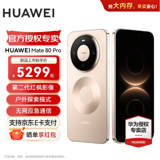 华为 Mate 80 Pro  第二代红枫影像 鸿蒙AI直屏鸿蒙新品手机华为mate80pro手机 晨曦金 16+512GB