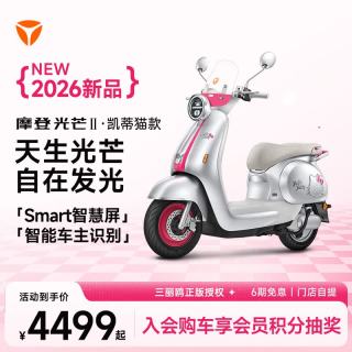 雅迪 摩登光芒二代 三丽鸥家族 电轻摩
