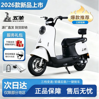 立马电动车 2026新国标电动车大功率电瓶车NFC智能长续航日常电动摩托车到手可骑 48V20A