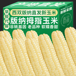 拇指玉米 甜糯玉米 迷你现摘锁鲜 100g*3+30g*2