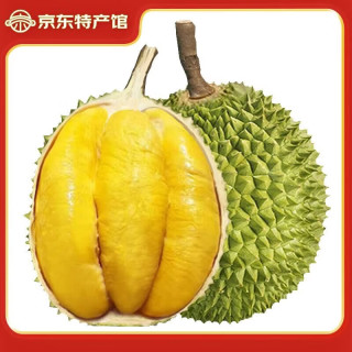 静益乐源 猫山王榴莲  5-6斤（单果包4房）