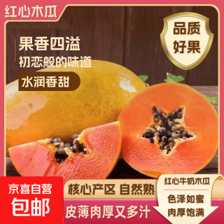 京喜加 广西牛奶冰糖红心木瓜 带箱5斤（净重4.5斤）