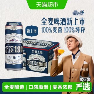 88VIP：哈尔滨啤酒 Beer 哈尔滨啤酒 全麦啤酒 500ml*12听