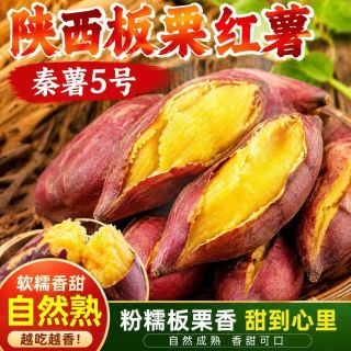 林大 馋红薯板栗蜜薯正宗  5斤精选小果(净4.7斤起)单果2.5两以下