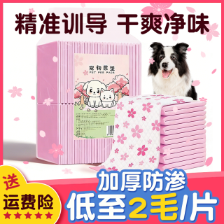 烨棠 加厚防渗吸水除臭狗狗尿垫一次性隔尿片引导宠物排便训练诱导尿垫