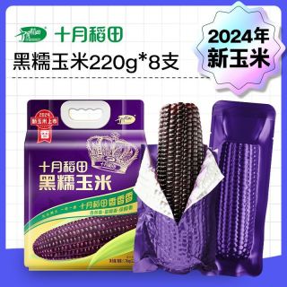 十月稻田 黑糯玉米 紫玉米 真空铝膜