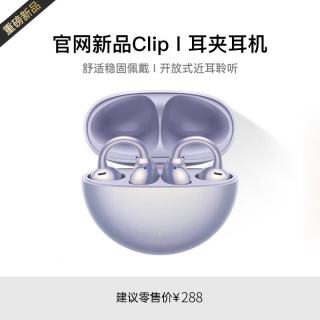 萨勒芬妮 蓝牙耳机  全景音效丨久戴舒适 超长续航丨超清通话丨AI降噪