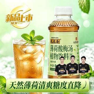 九龙斋 酸梅汤500ml*8瓶整箱装 北京添加薄荷解暑解腻饮料配料干净