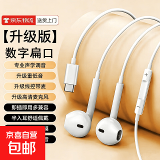 有线耳机Type-C扁口重低音半入耳式线控带麦K歌游戏降噪