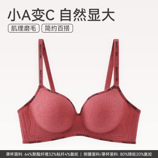 芬腾 内衣 舒适聚拢防下垂收副乳透气无痕无钢圈大胸小胸一体式女士文胸罩