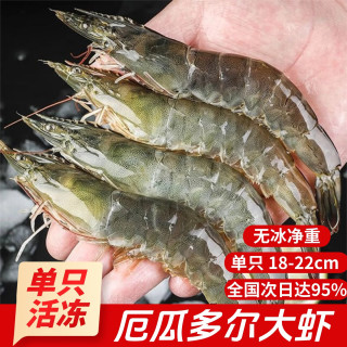 添渔港 厄瓜多尔大白虾  3斤(净重)