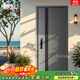 顾好 防盗门 单门 2050*860/900/960 机械拉手