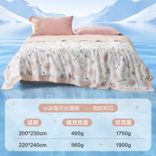 南方寝饰 小冰蚕天丝夏被 莱赛尔天丝桑蚕丝夏凉被 200X230cm 宛如初见