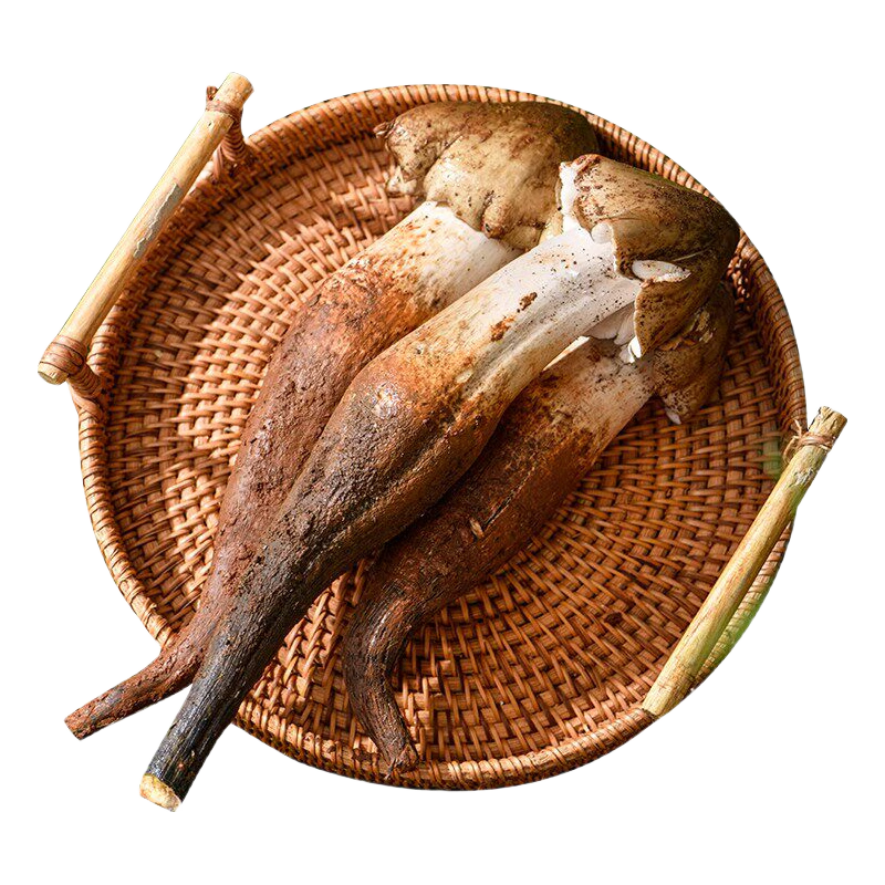 京地达 云南野生鸡枞菌 新鲜现挖 500g 鲜菌菇