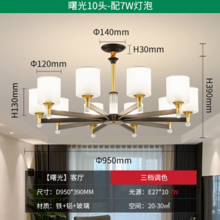 雷士 吊灯客厅灯轻奢餐厅灯饰 曙光10头-带防尘盖吊灯 赠光源