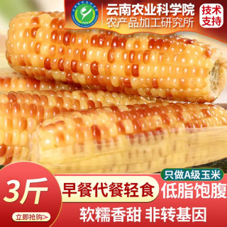 美食农科院花糯玉米新鲜真空软糯早餐代餐粗粮