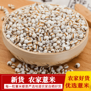 薏苡仁农家优选薏米营养易吸收当季新货搭配赤小豆茯苓煮水煲汤