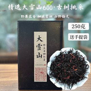 倮彝 云南滇红大叶种普洱古树茶头春新茶 2025年新茶-250克