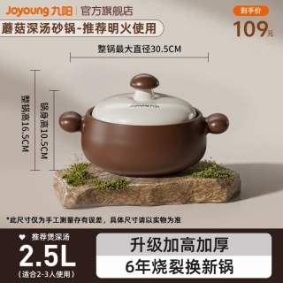 88VIP：九阳 CC-PR1C52 陶瓷砂锅 2.5L