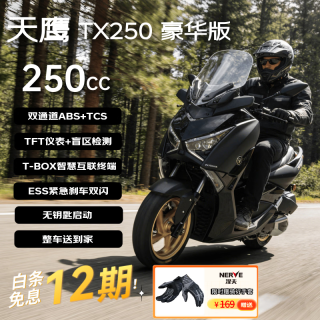 天鹰 TX250F豪华版 燃油踏板摩托车复古摩旅通勤代步哑黑 26款赠手套