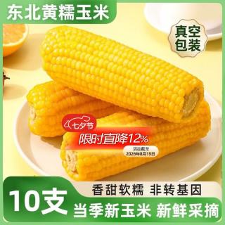 鹤榆丰 东北黄糯玉米10支