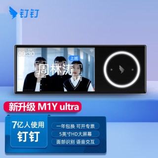 钉钉 智能考勤机 M1Y ultra