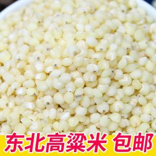 东北白高粱米 5斤 粗粮 健康营养