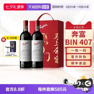 奔富 BIN407 赤霞珠 干红葡萄酒 750ml*2瓶 礼盒装
