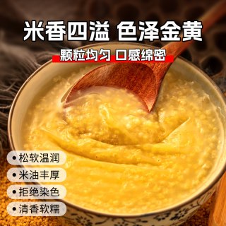 谷美优品 新鲜东北有机黄小米金黄香黏糯米农家辅食煮小米粥五谷杂粮月子米