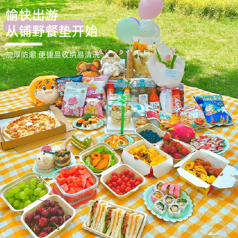 Ttlk 天堂来客 加厚防水 野餐垫