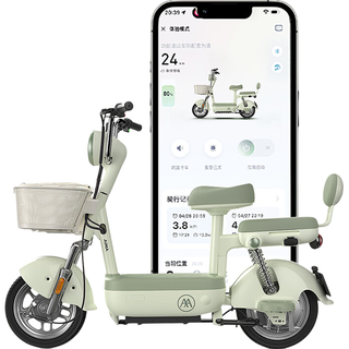 爱玛 新国标 电动自行车