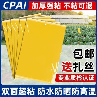 牧火 粘虫大号双面蚊虫飞虫安全耐用园艺苍蝇贴强力粘粘虫板黄板双面粘