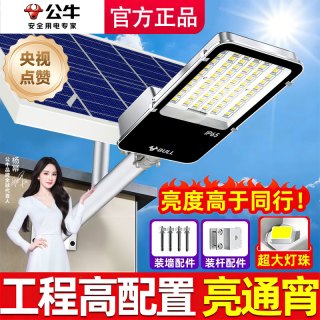 公牛 太阳能户外灯家用庭院灯路灯超亮大功率2026新款太阳能照明灯  420流明 高亮28㎡