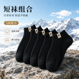 勋阳宇乐 夏季薄款低帮浅口潮流百搭休闲袜 五双装