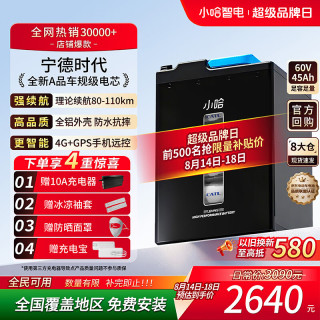 小哈 60V45Ah 宁德时代电芯 电动车锂电池+17A充电器