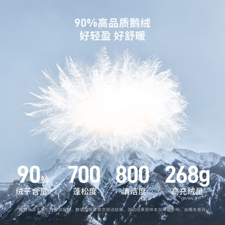 坦博尔 鹅绒长款羽绒服 加厚保暖 连帽 黑色 M(165)