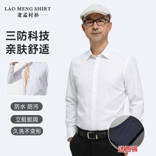 春季衬衫男衬衣职业长袖上班男装高级感